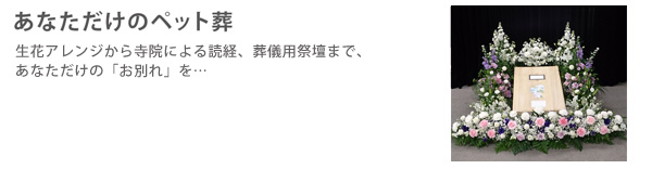 あなただけのペット葬儀
