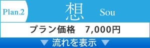 Plan.2　想　Sou　プラン価格　8,500円
